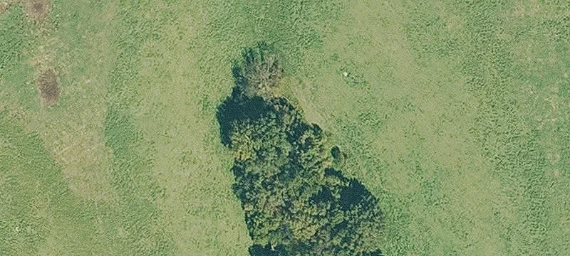 Northwest Arkansas Ranch and Land