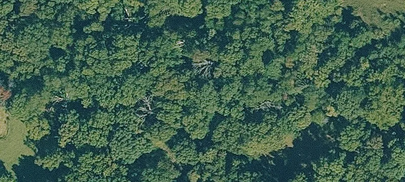 Residential Lot Near Beaver Lake