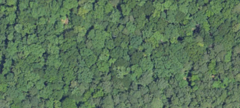 6.41 Acres of Alabama Land