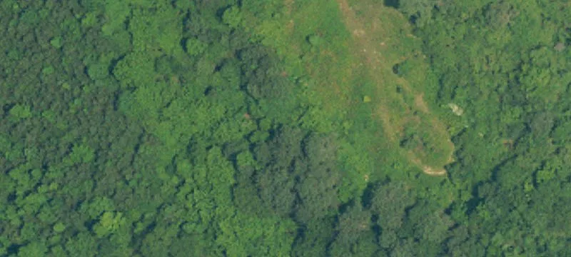 40 Acres Prime Land