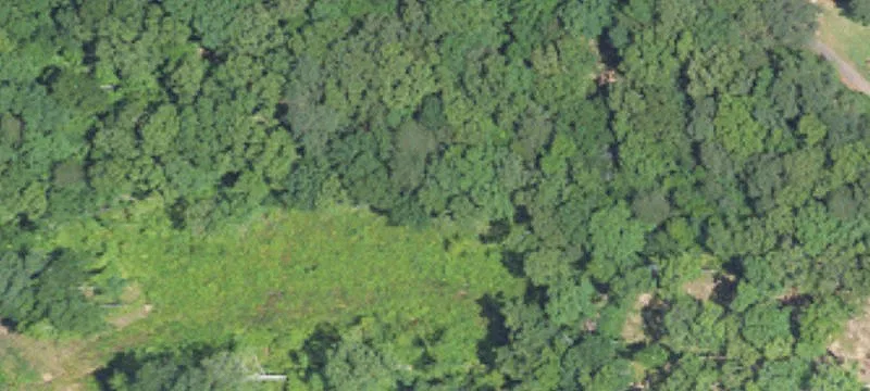 Residential Lot in Established Subdivision