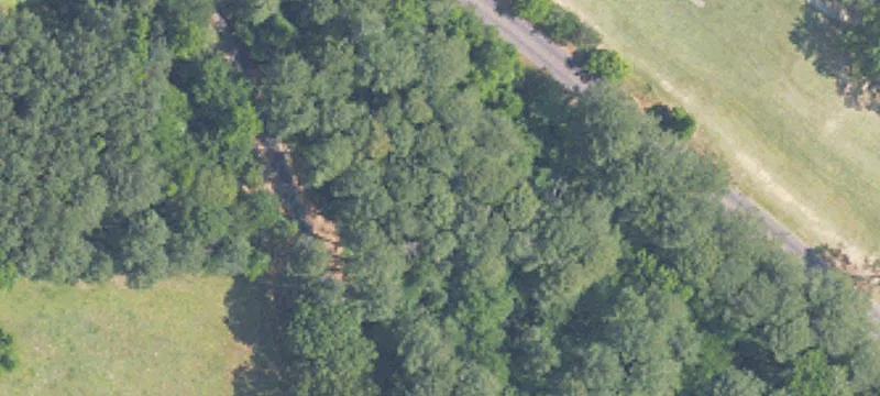 Wooded Lot Near Golf Course