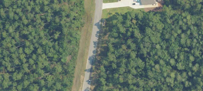 Gulf Shores Wooded Homesite
