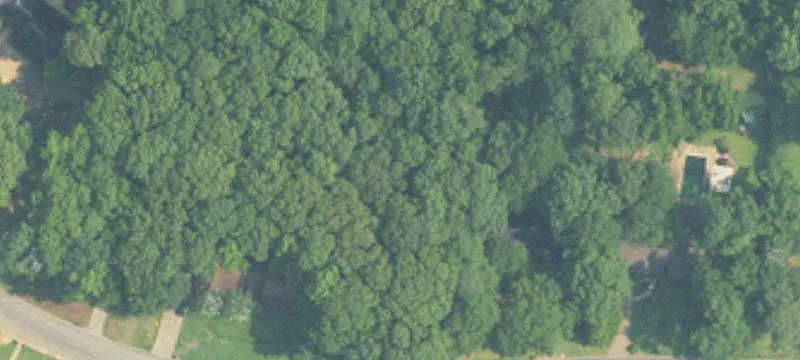 Residential Lot in Woodland Forest