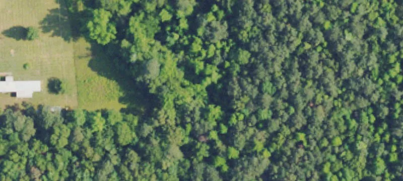 Waterloo Hunting Land For Sale