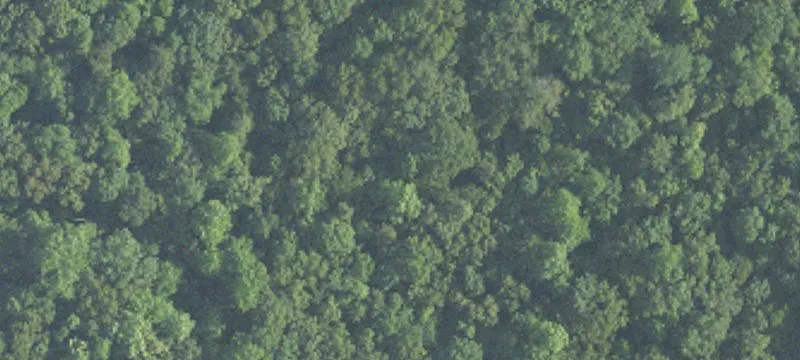 Commercial Land For Sale