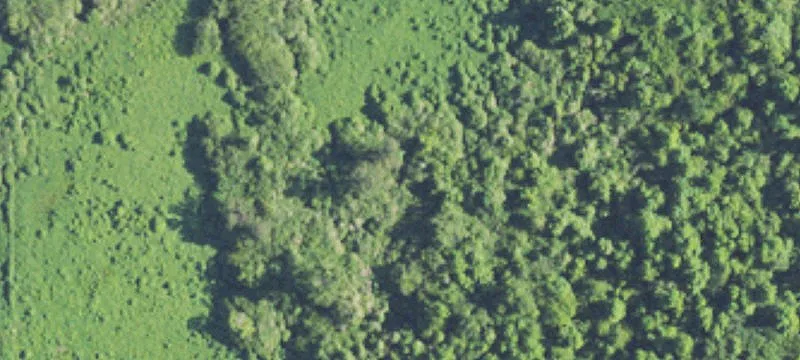 Concord Land Opportunity