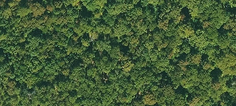 Secluded Land Near Bull Shoals
