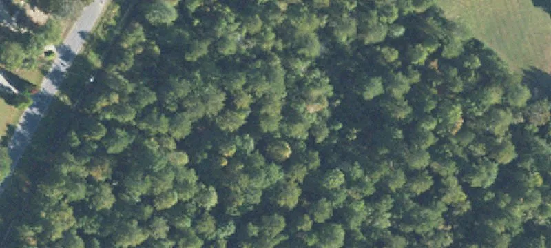 Acre Plus Homesite Opportunity