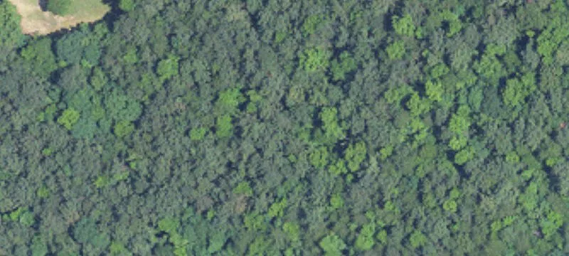 Wooded Land with Scenic Views