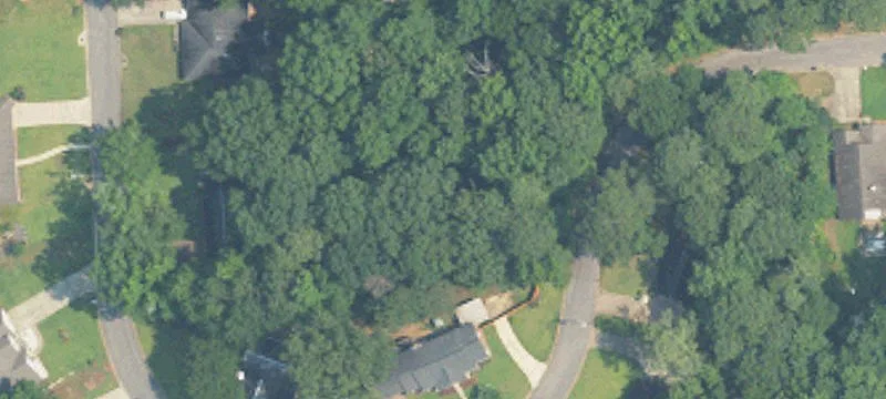 Woodland Forest Acreage Opportunity