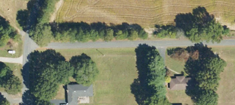 40 Acres of Wooded Land