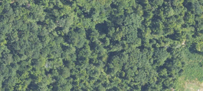 Wooded Acreage for Residential Home
