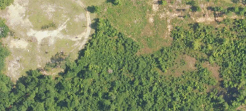 Expansive Land in Grady, Alabama