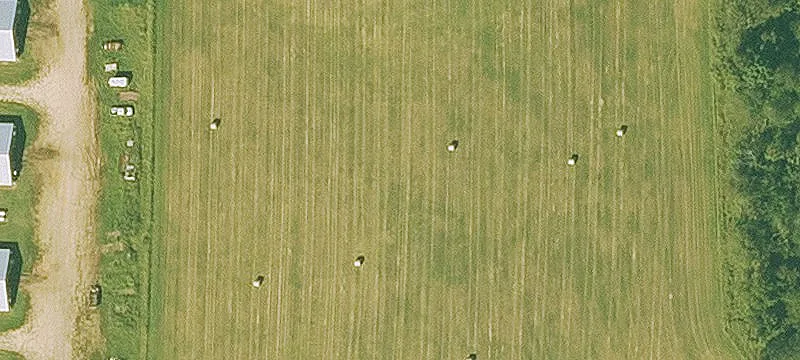 Broiler Farm with Mobile Home