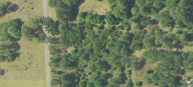 Four Acre Property with Sheds