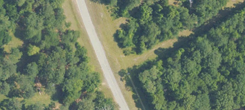 Land Parcel in Mathews, AL