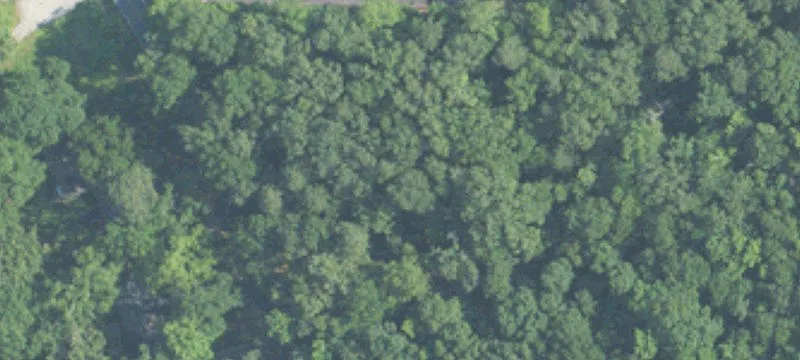 Commercial Land Near McCalla Center