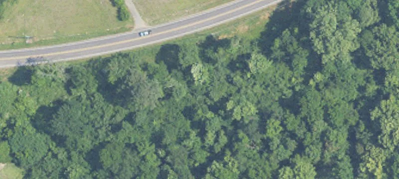5.6 Acres with Road Frontage