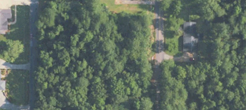 Wooded Lot in Mountain View