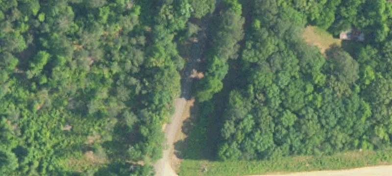Reform, AL Hunting and Cabin