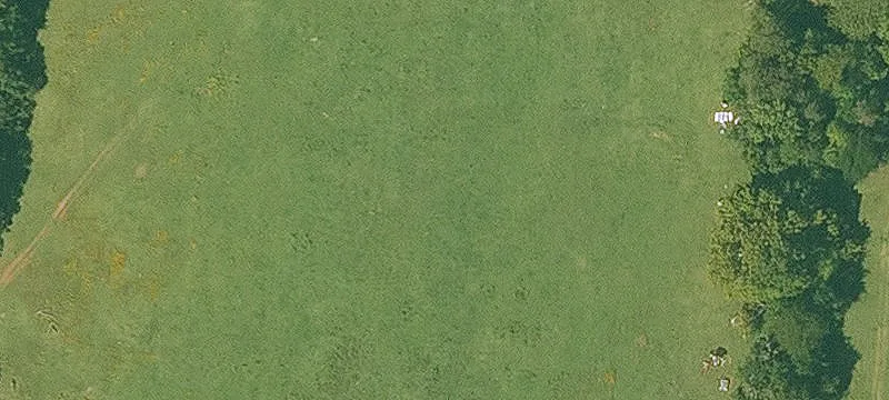 10.24 Acres of Timber Land