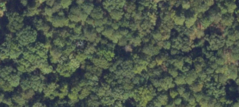 Evans Mill Road Residential Land