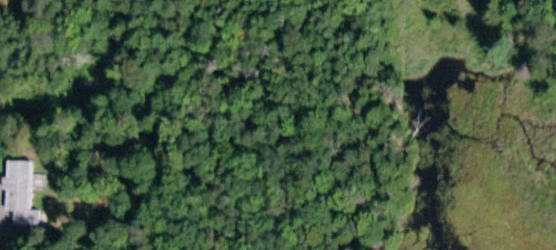 Catskills Mountain Retreat Land
