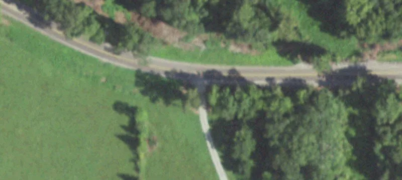 54.1 Acres with Mobile Home
