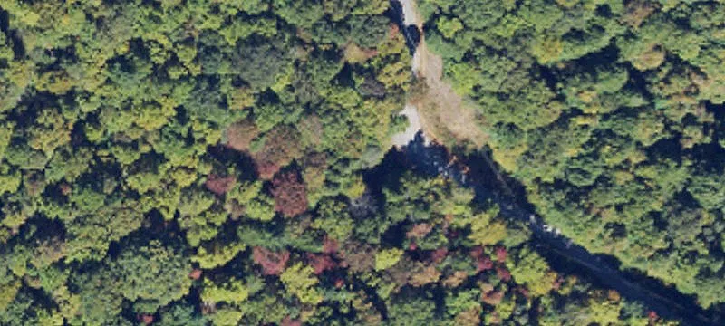 Secluded Wooded Acres in Lenoir