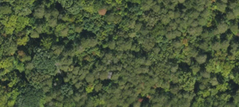 Wooded Acreage in Sherrills Ford