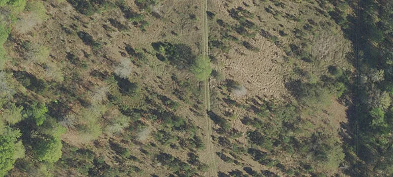 Acreage Near Downtown Chipley