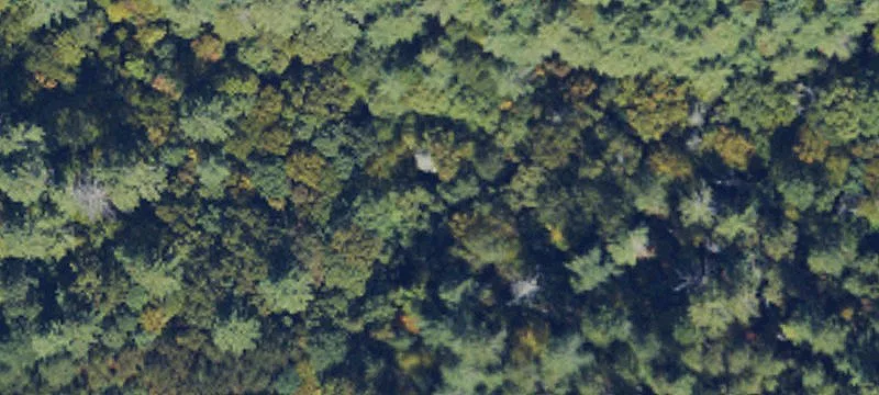 Residential Land Near Bryson City