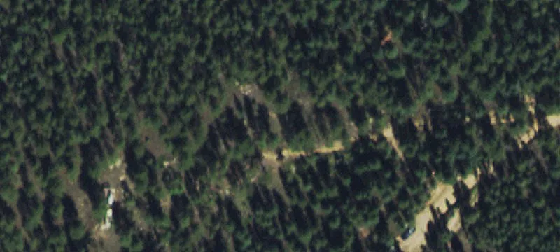 Vacant Land in Bailey, CO
