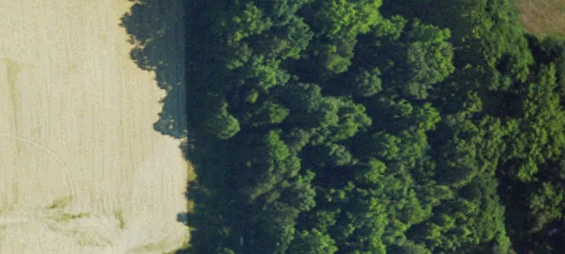 Vacant Wooded Land in Archdale