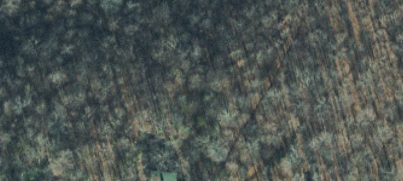 Rare West Nashville Acreage