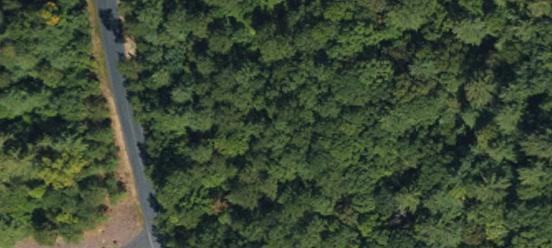 Wooded Lot in Gated Community