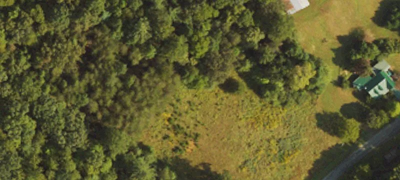 Wooded Acreage with Hunting Cabin