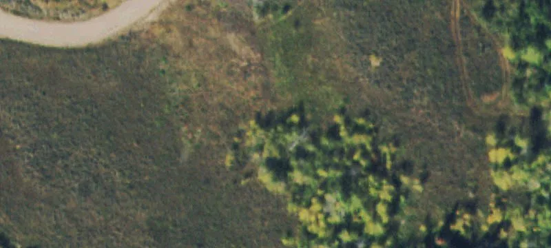 Black Horse II Homesite
