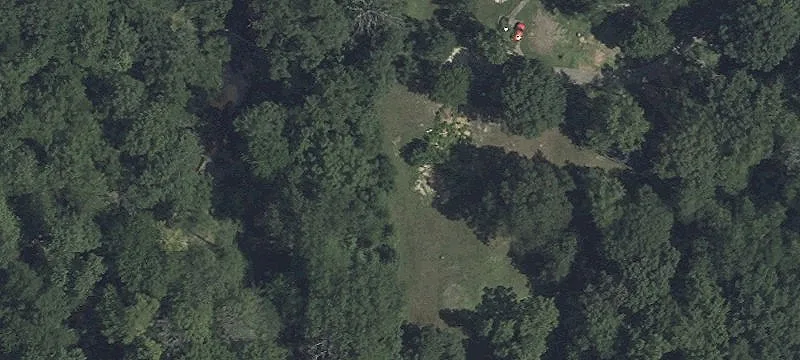 5 Acres of Open Woodland