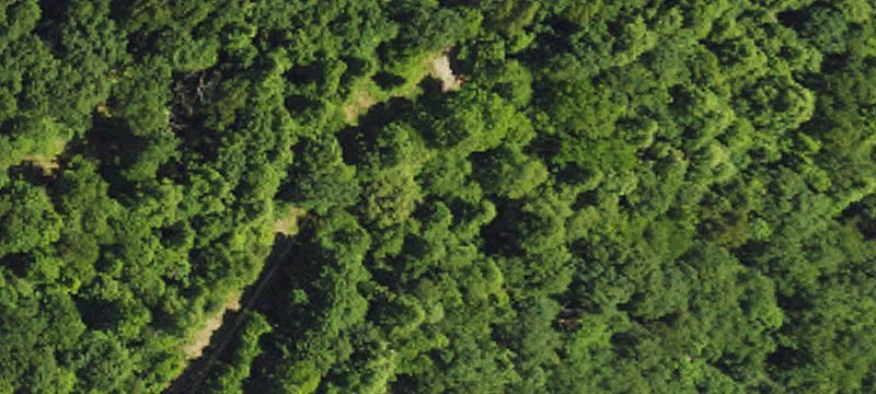 Burkemont Mountain View Acreage