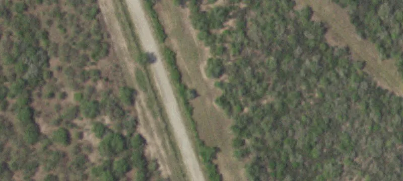 394 Acres in Bee County