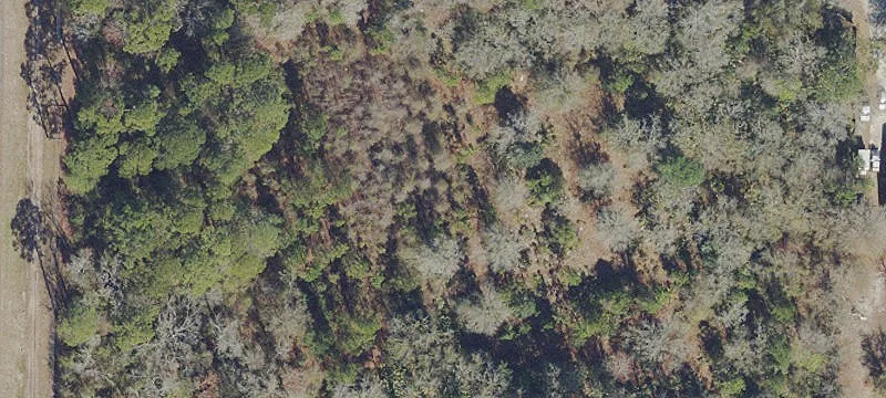 6.96 Acres on N. Main