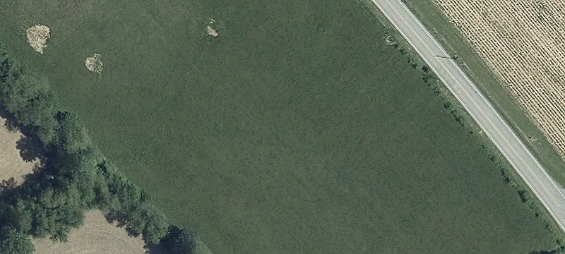 Turn-Key Restaurant and Tavern Property
