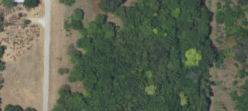 20 Acres Near I-35