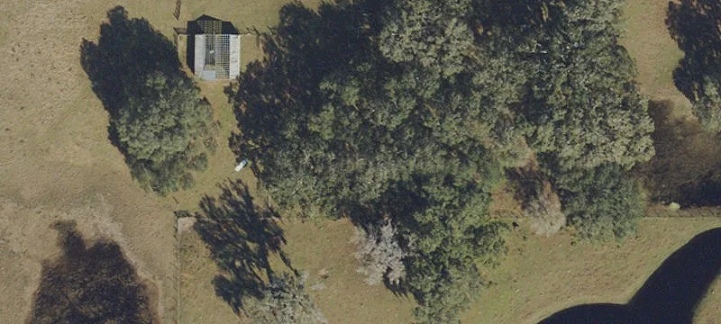 Zephyrhills Development Land Assemblage