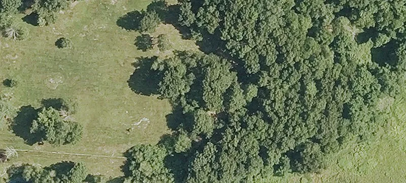 15+ Acre Parcel in Washington