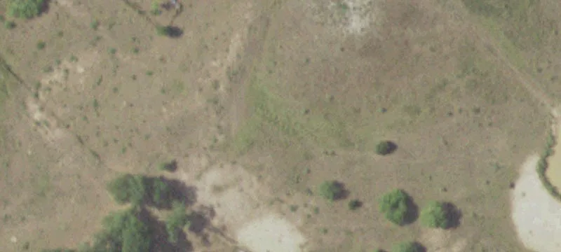Wallis Farm and Ranch Property
