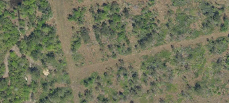Dorchester County Commercial Land