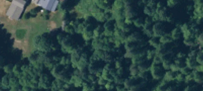 Buildable Land in Tumwater